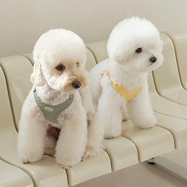 2_d028851b-4b83-4f34-9673-