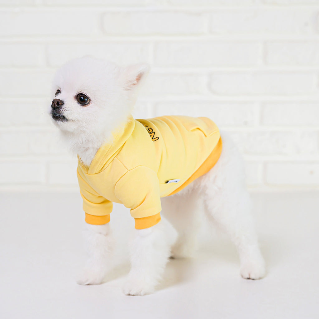 ロゴパーカー(イエロー)