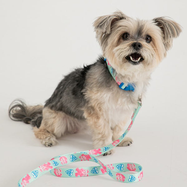 BITE ME（バイトミー）POKORI Friends アドベンチャーリード – NEW