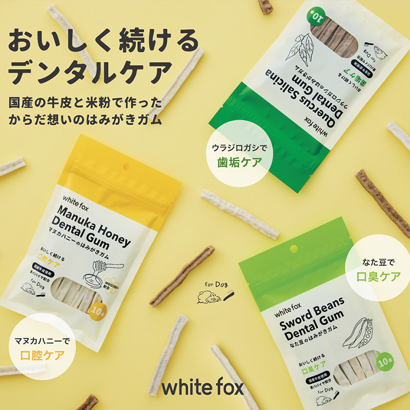 はみがきガム 10本入り / 30本入り(マヌカハニー / なた豆 / ウラジロガシ)
