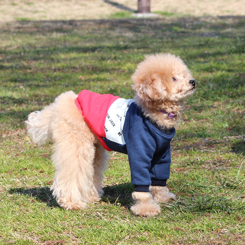 トリコロールTシャツ (Navy)