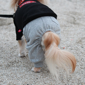 クルージョガーパンツ (Gray)