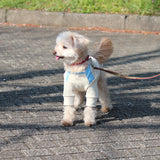 クルー サイドメッシュTシャツ (Beige)