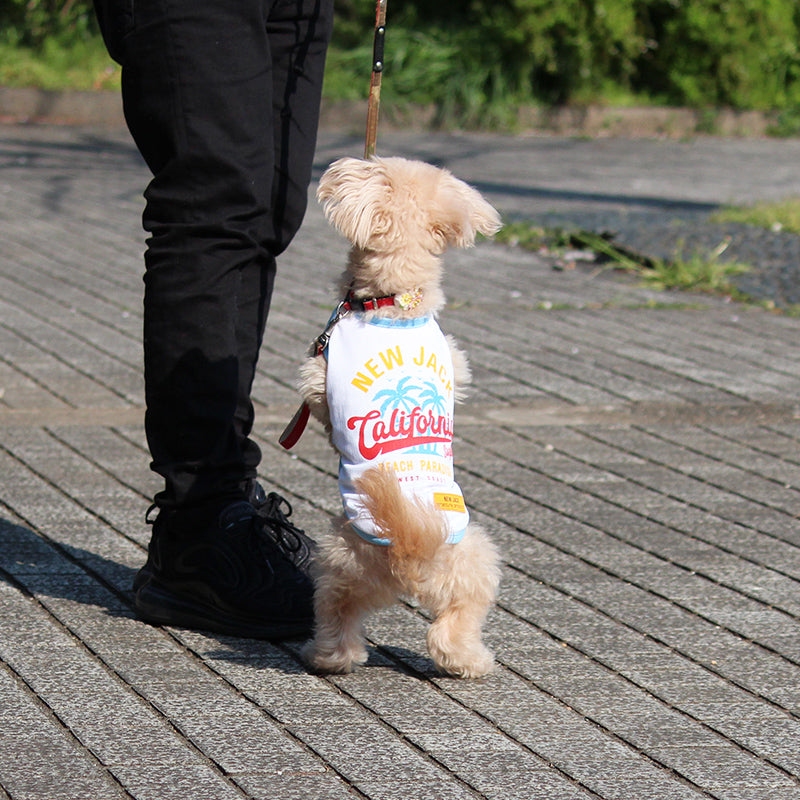 クールエアーメッシュタンク (White)