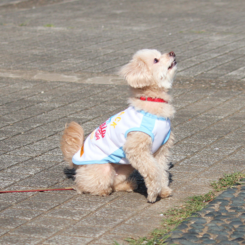 クールエアーメッシュタンク (White)