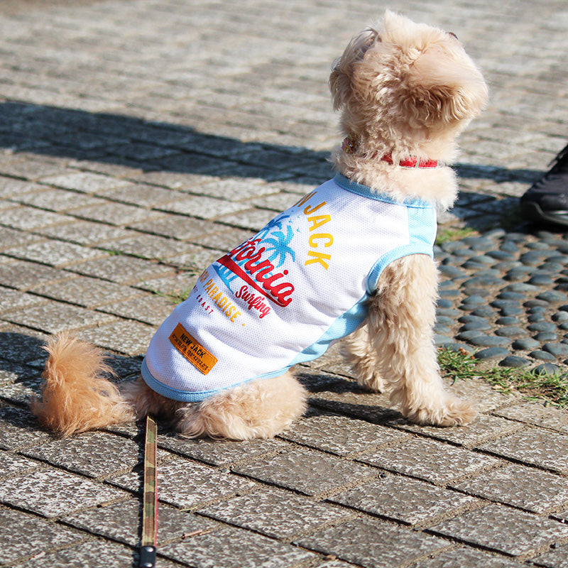 クールエアーメッシュタンク (White)