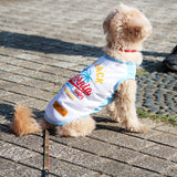 クールエアーメッシュタンク (White)