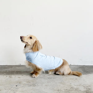 クールスタンドカラーシャツタンク(SKY BLUE)