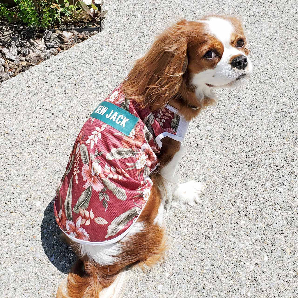 アロハメッシュタンク(WINE RED)