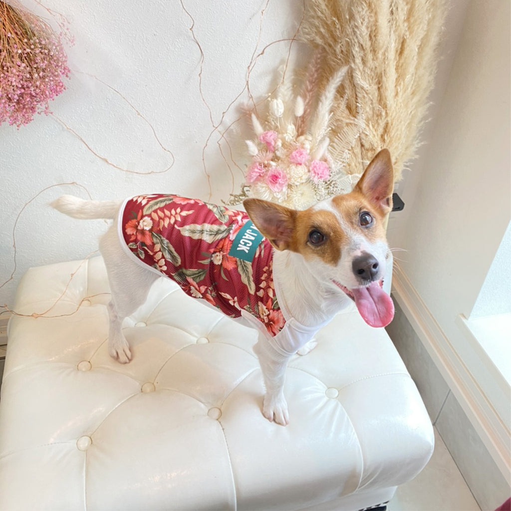 アロハメッシュタンク(WINE RED)