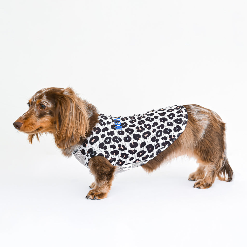 NEWレオパードメッシュタンク