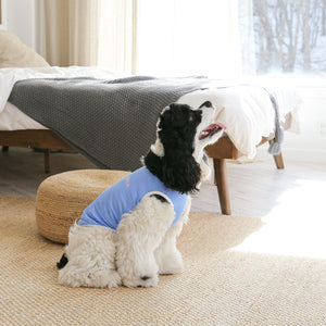 バイカラーコットンタンク(ブルー)