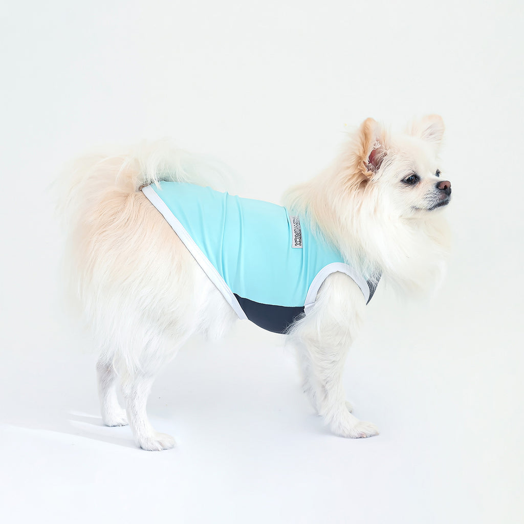 ナイロンタンク (スカイブルー)