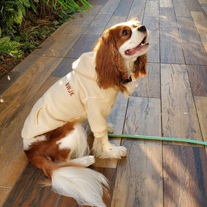 ステッチ裏起毛パーカー(アイボリー)