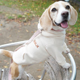 ステッチ裏起毛パーカー(アイボリー)