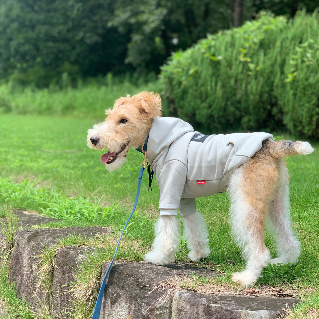 ボックスロゴフーディー(ライトグレー)