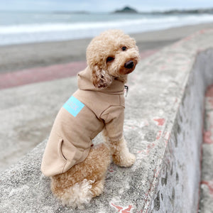 ボックスロゴフーディー(ベージュ)