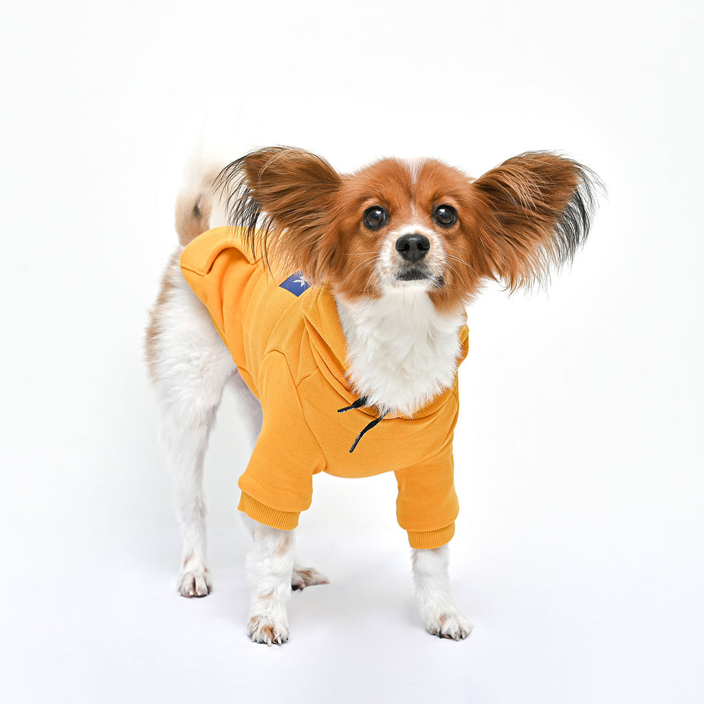 ボックスロゴフーディー(イエロー)