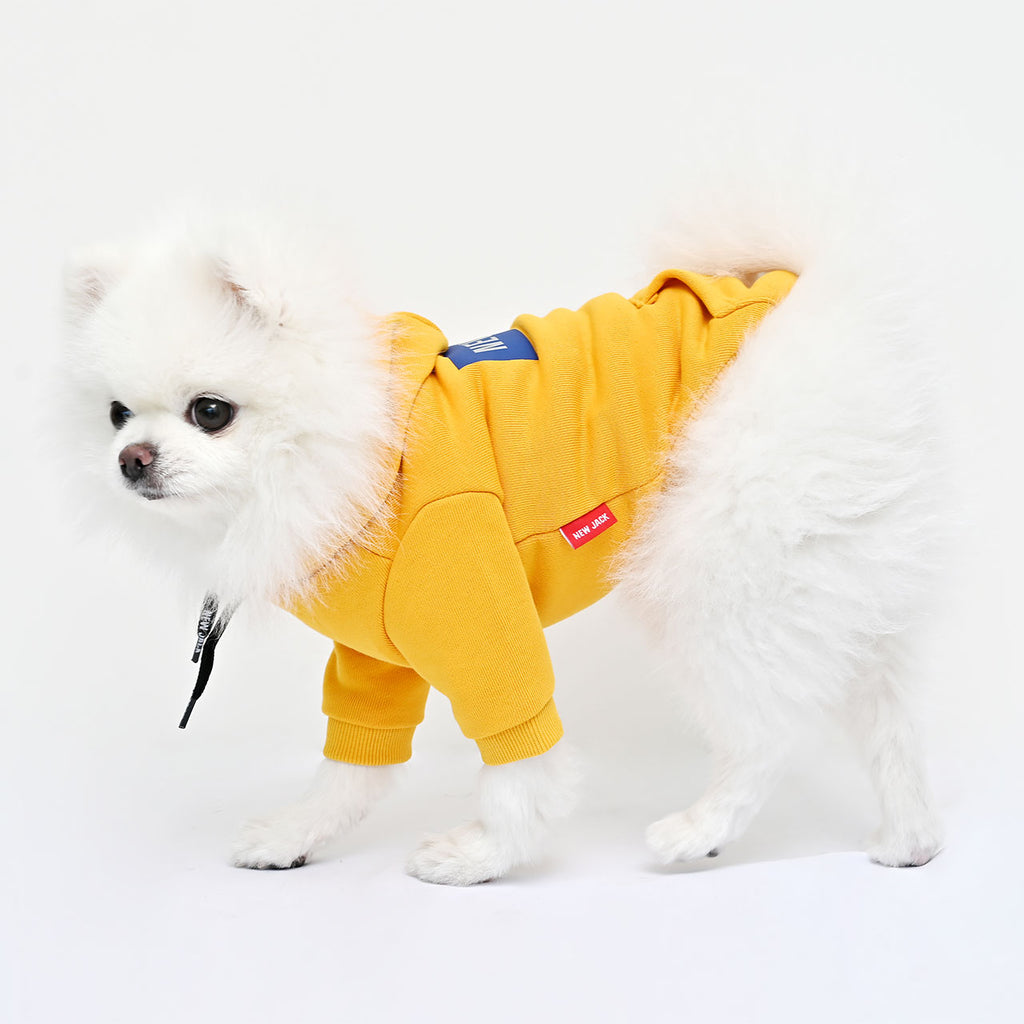 ボックスロゴフーディー(イエロー)