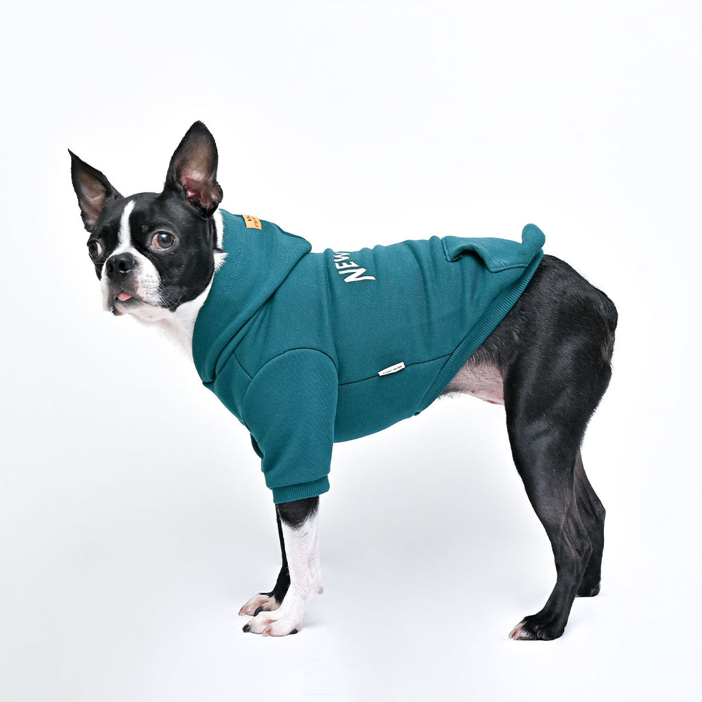 ベンドロゴフーディー(グリーン)