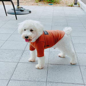 NEWボックスロゴTシャツ(ブラウン)