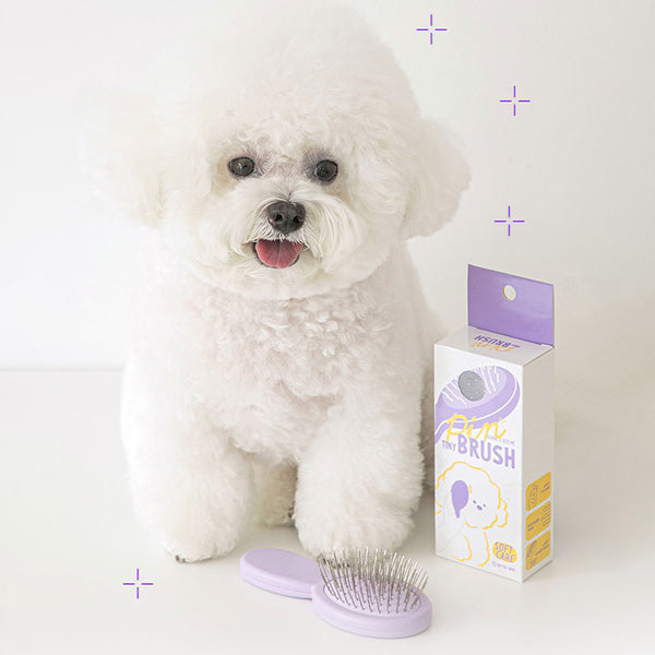 xx_grande.jpg?v=1666233052